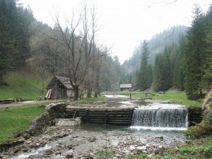 ASIlandschap1