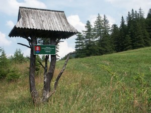ASInatuurpark1