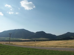 ASIvelden