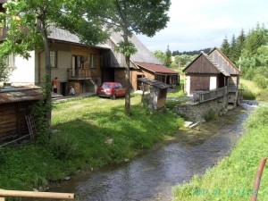 ASIBILD0125