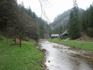 ASIrivier1