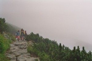ASIwandelpad1