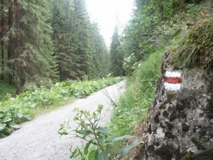 ASIwandelroute4