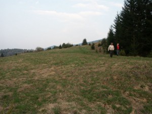 ASIlokatie6