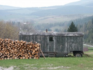 ASIbosbouw