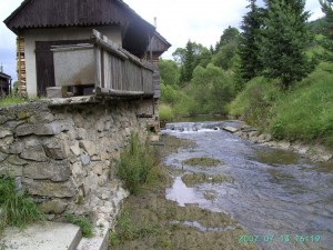 ASIBILD0115[0]