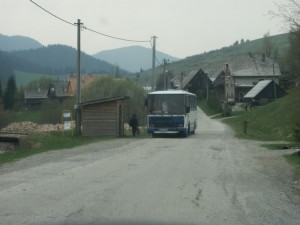 ASIbushok1